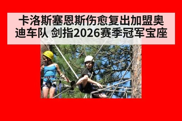卡洛斯塞恩斯伤愈复出加盟奥迪车队 剑指2026赛季冠军宝座