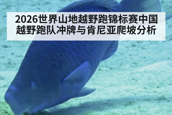2026世界山地越野跑锦标赛中国越野跑队冲牌与肯尼亚爬坡分析